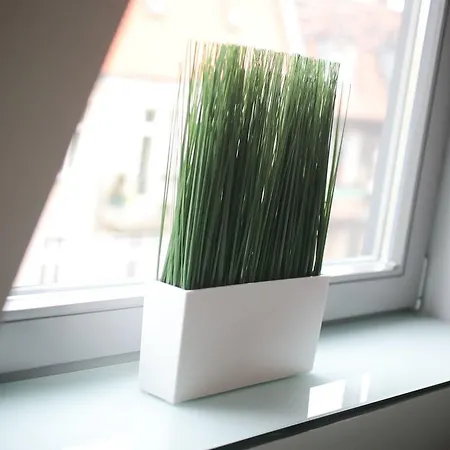 Super-apartamenty Center Appartement Poznań